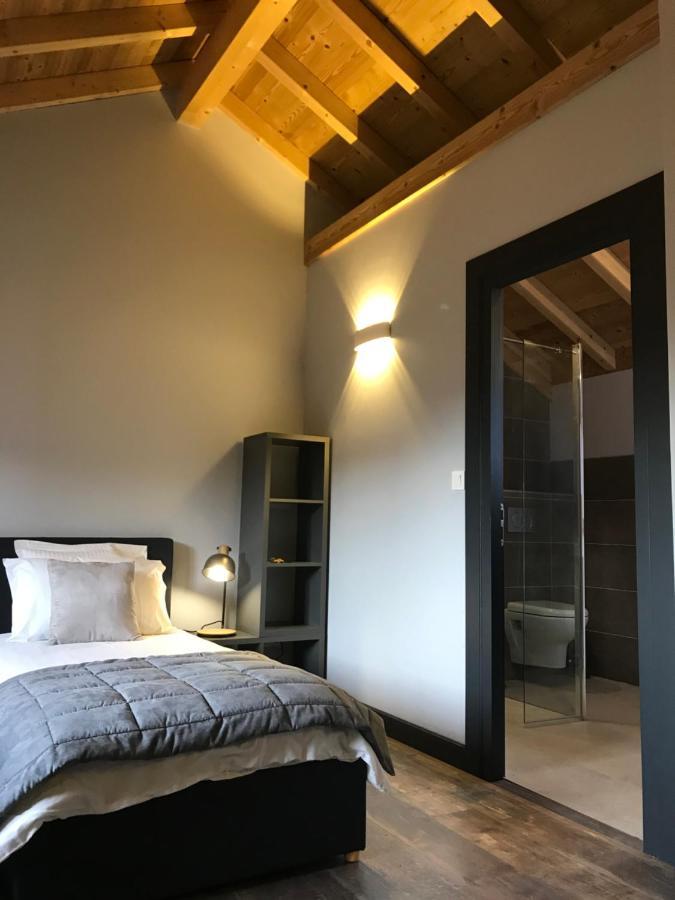 Chalet Barbara With Swimming Pool In The Heart Of Oisans Le Bourg-d'Oisans Exterior photo